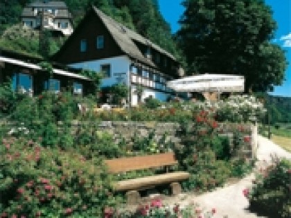 Foto: Rosengarten Rathen