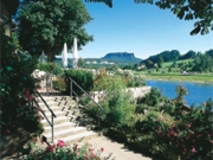 Foto: Rosengarten Rathen